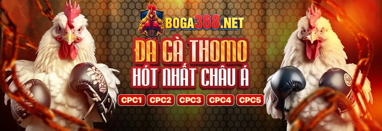 Sân đấu đá gà trực tuyến Arne Link Vào 2026